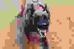74364616_1942506579185590_4523813774985003008_n