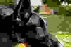 79755929_2005697386199842_8536335311406366720_n